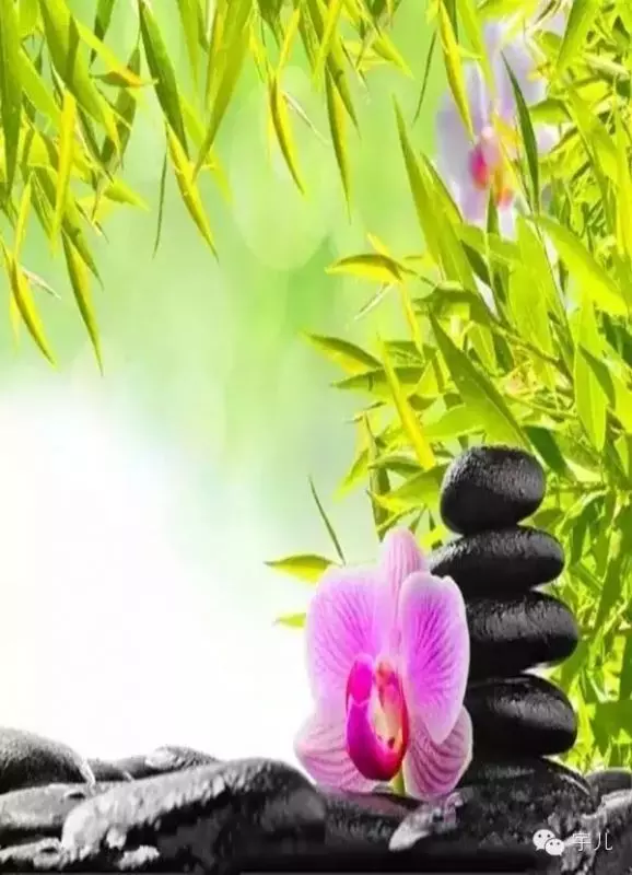 種什麼因得什麼果,施什麼心得什麼報