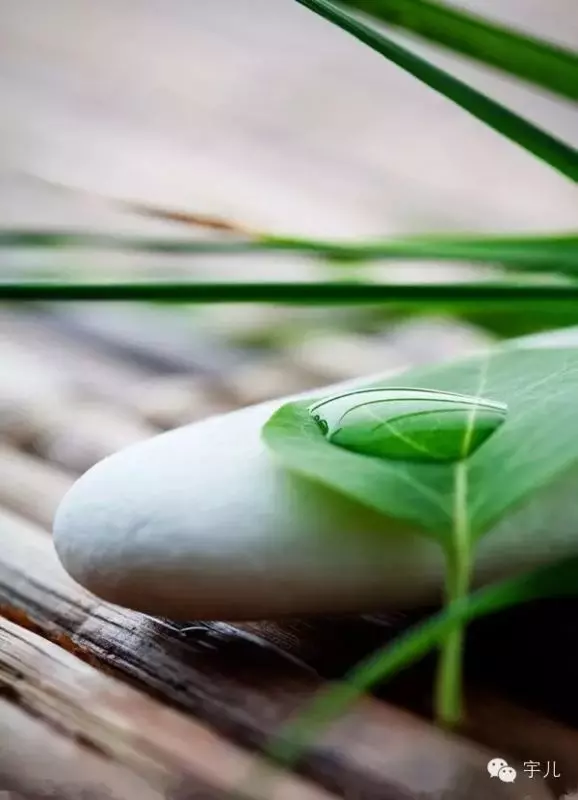 種什麼因得什麼果,施什麼心得什麼報