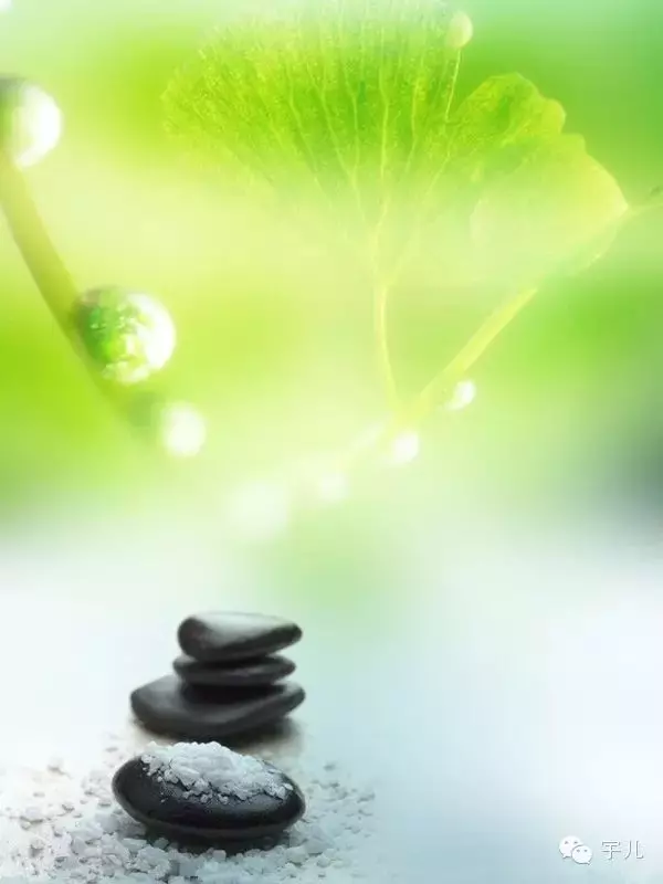 種什麼因得什麼果,施什麼心得什麼報