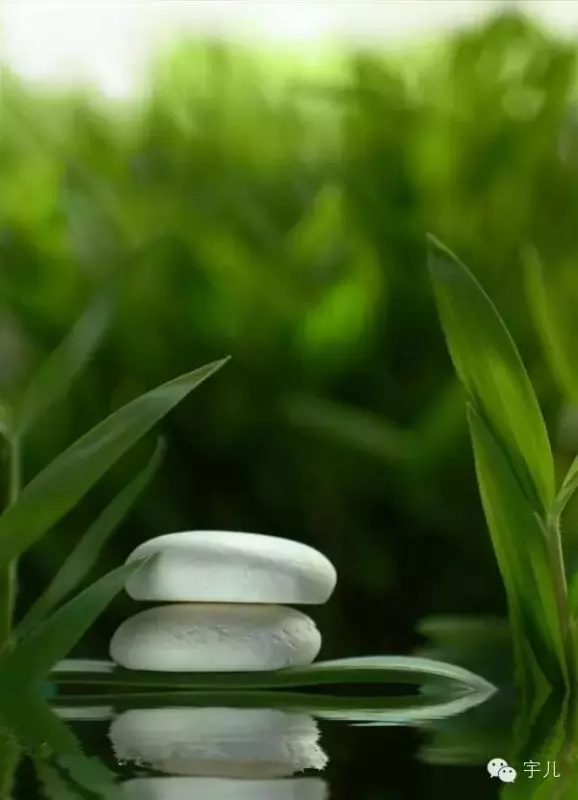種什麼因得什麼果,施什麼心得什麼報