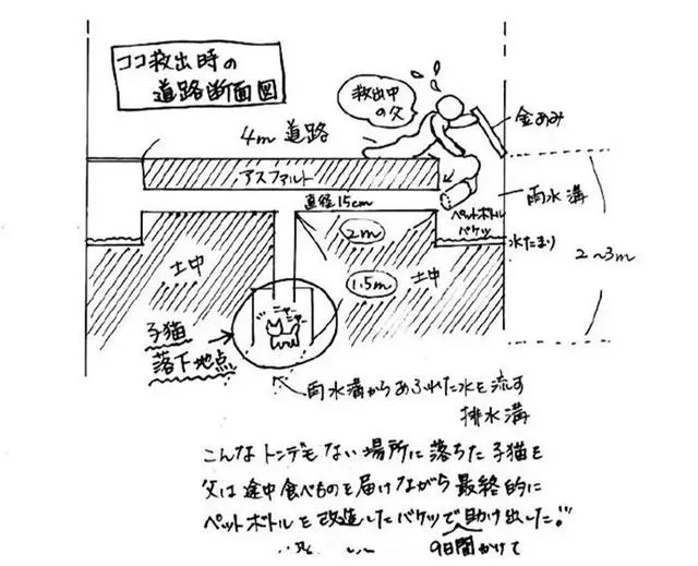 流浪貓受老爺爺救助後,整日黏身邊報答救命之恩,還惹來奶奶吃醋