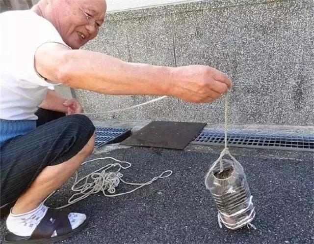 流浪貓受老爺爺救助後,整日黏身邊報答救命之恩,還惹來奶奶吃醋