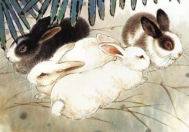 這7個生肖千萬不要惹,2019年他們實在太旺了