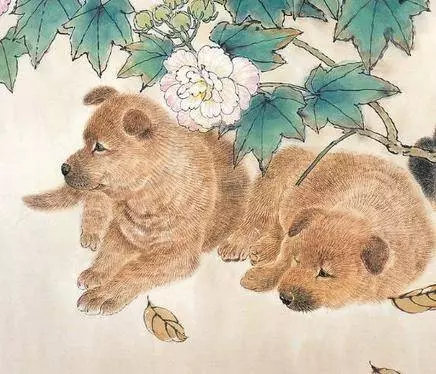 這7個生肖千萬不要惹,2019年他們實在太旺了