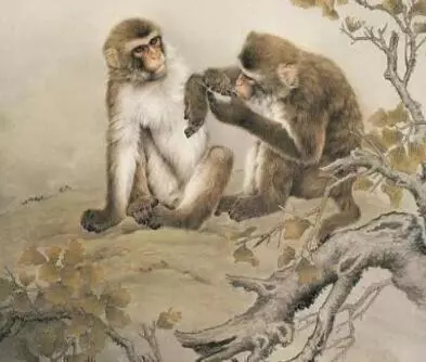 5大生肖千萬不要減肥,越胖越招財,財神爺更喜歡你