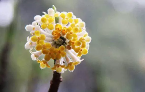 3月21號開始,聚財如雨,橫財大獎不斷,大富大貴不差錢的5生肖!