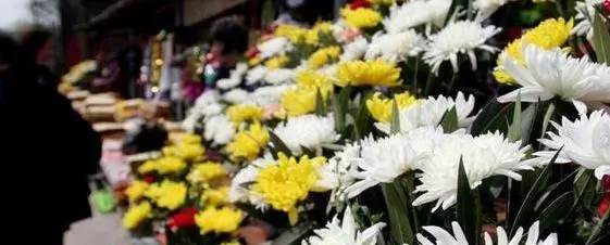 清明節祭祖,千萬不要穿「這個顏色」的衣服,否則容易招惹好兄弟