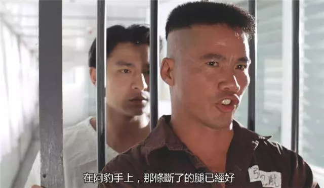 任家萱的學歷,田馥甄的學歷,陳嘉樺的學歷,網友:同是SHE,差距還真是挺大的
