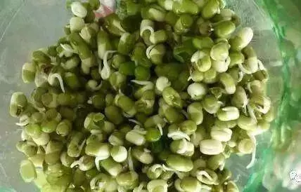 芹菜,青蔥,豆芽不用買,1個可樂瓶就能做出來,綠色又美味 ,省錢又健康!!