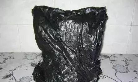 芹菜,青蔥,豆芽不用買,1個可樂瓶就能做出來,綠色又美味 ,省錢又健康!!