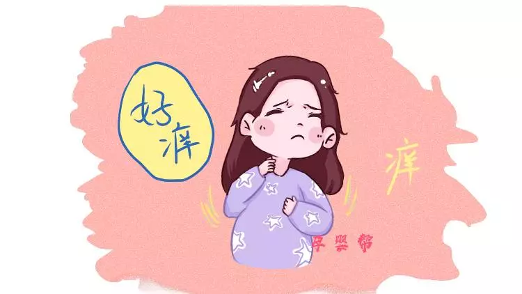 這3類孕媽,就算再嘴饞也不要吃菠蘿,對你和胎兒都不好