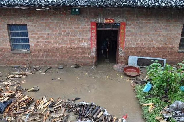 兩個兒子全都有錢,老母親卻在窮女兒家養老,4個月後女兒恍然大悟