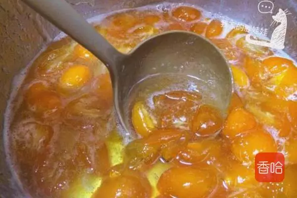 老中醫常備「天然止咳藥」,潤肺化痰,防治感冒,常喝咳嗽繞著走