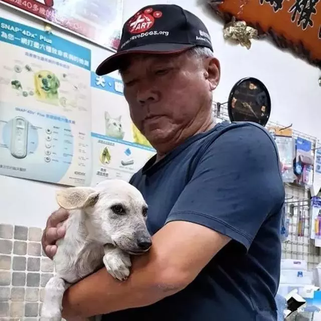 黑狗冒險攔車求救,只因白狗不慎掉河中,等同伴獲救後又悄然離開