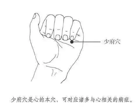 內臟在求救!心、肝、脾、肺、腎五臟之毒如何排?對症防病!
