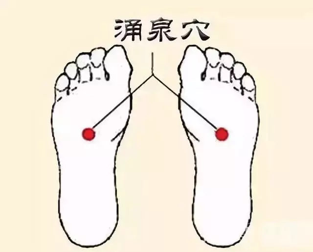 內臟在求救!心、肝、脾、肺、腎五臟之毒如何排?對症防病!