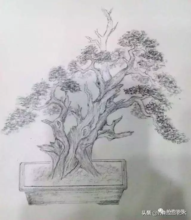 掌握了這十點,您就快成半個大師了!(附創作實例)