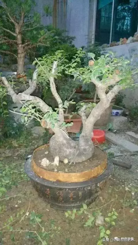 掌握了這十點,您就快成半個大師了!(附創作實例)