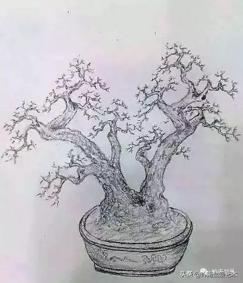 掌握了這十點,您就快成半個大師了!(附創作實例)
