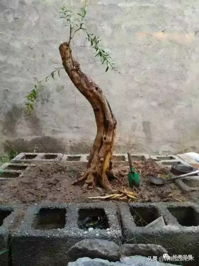 掌握了這十點,您就快成半個大師了!(附創作實例)