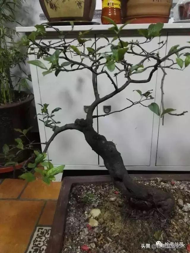 掌握了這十點,您就快成半個大師了!(附創作實例)