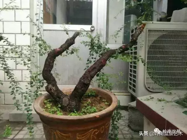 掌握了這十點,您就快成半個大師了!(附創作實例)