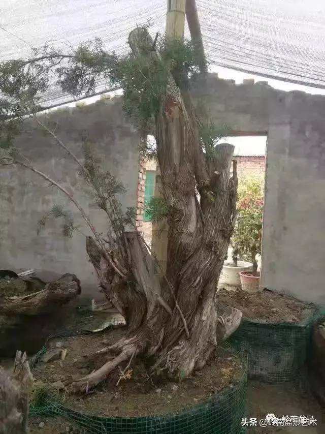 掌握了這十點,您就快成半個大師了!(附創作實例)