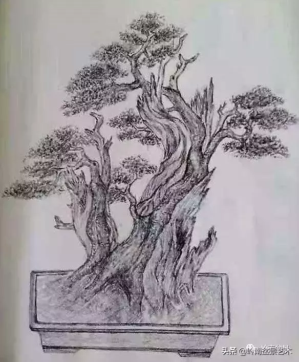 掌握了這十點,您就快成半個大師了!(附創作實例)