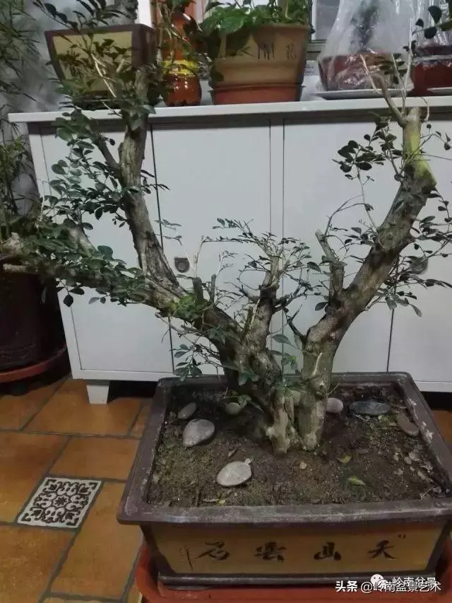 掌握了這十點,您就快成半個大師了!(附創作實例)