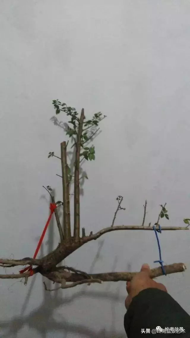 掌握了這十點,您就快成半個大師了!(附創作實例)