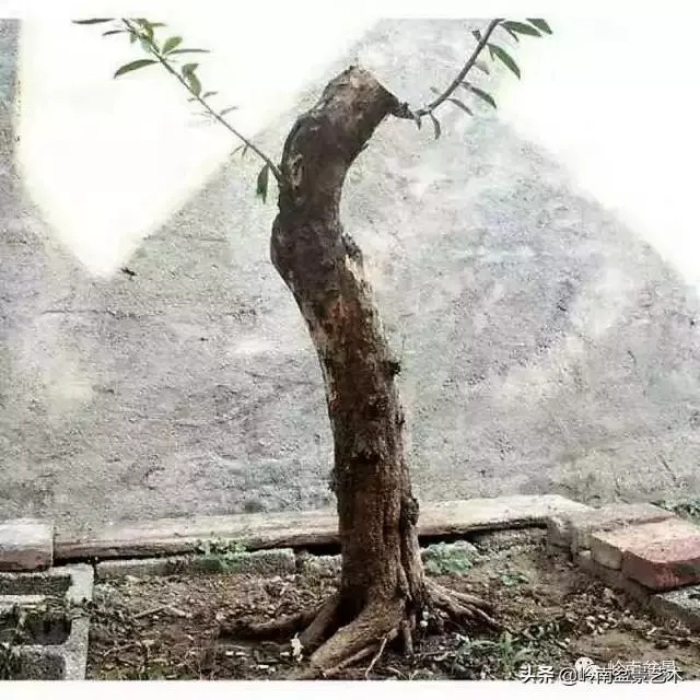 掌握了這十點,您就快成半個大師了!(附創作實例)