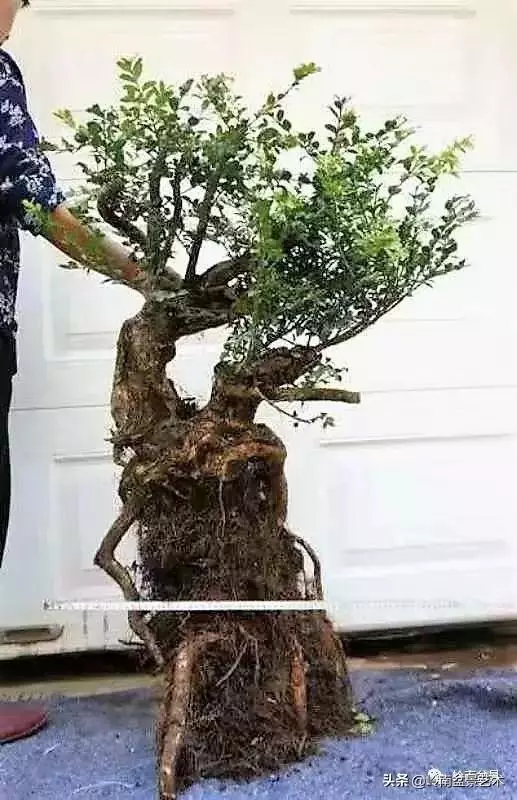 掌握了這十點,您就快成半個大師了!(附創作實例)