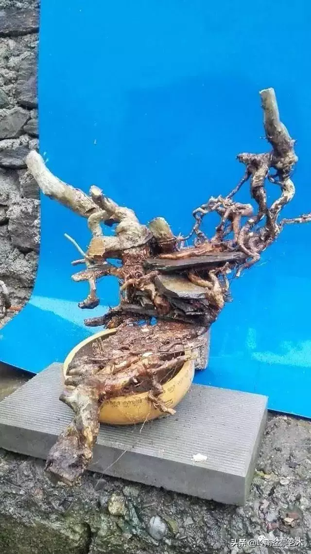 掌握了這十點,您就快成半個大師了!(附創作實例)