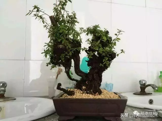 掌握了這十點,您就快成半個大師了!(附創作實例)