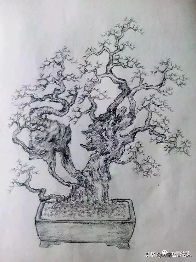 掌握了這十點,您就快成半個大師了!(附創作實例)