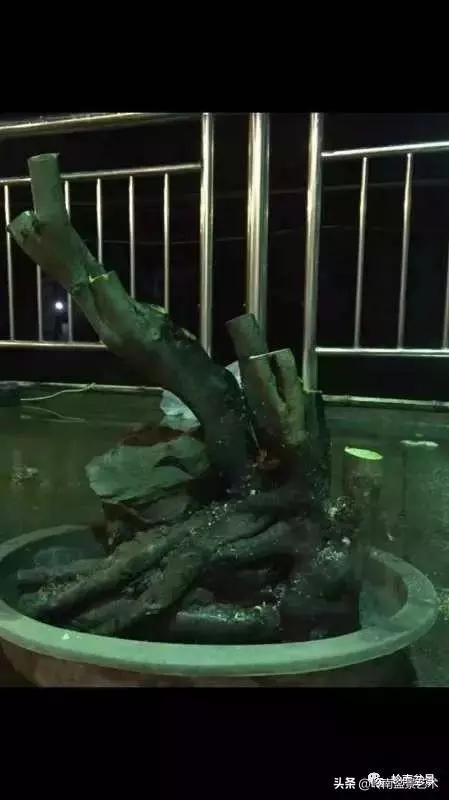 掌握了這十點,您就快成半個大師了!(附創作實例)