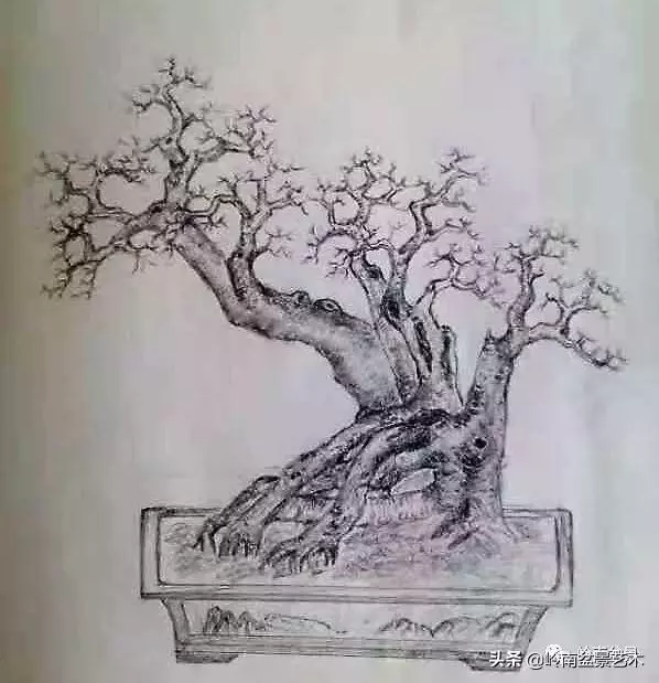 掌握了這十點,您就快成半個大師了!(附創作實例)