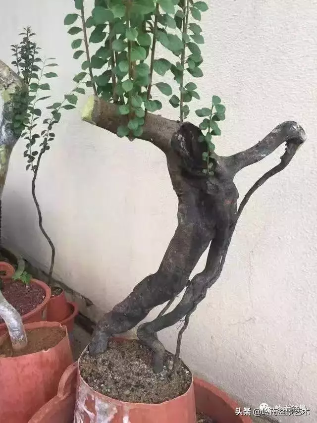 掌握了這十點,您就快成半個大師了!(附創作實例)