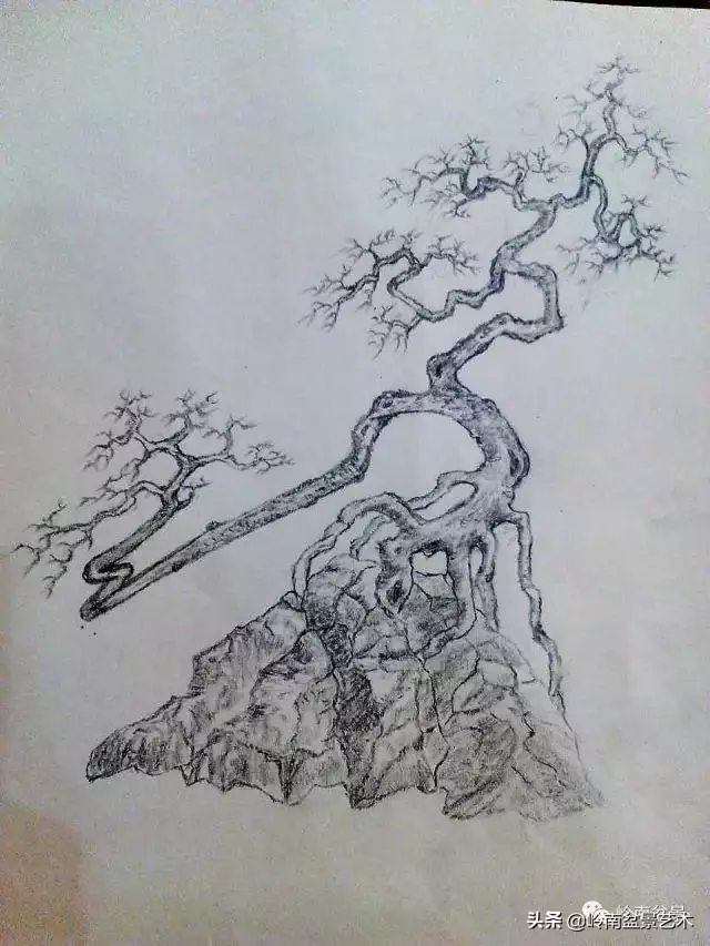 掌握了這十點,您就快成半個大師了!(附創作實例)