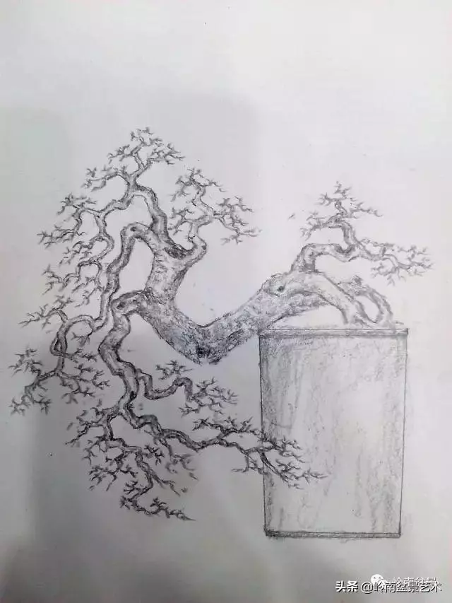掌握了這十點,您就快成半個大師了!(附創作實例)