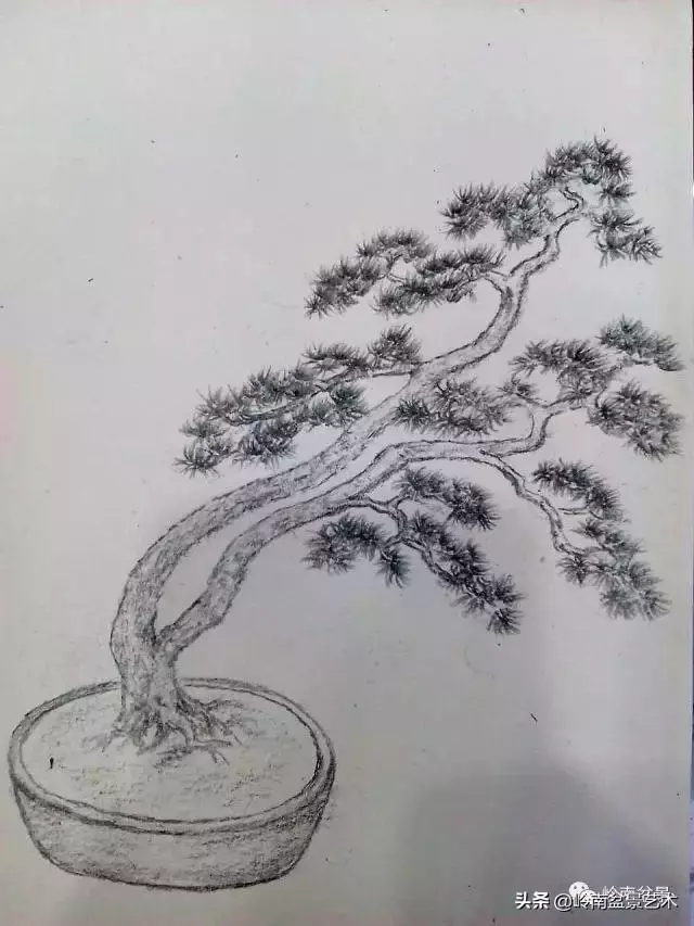 掌握了這十點,您就快成半個大師了!(附創作實例)