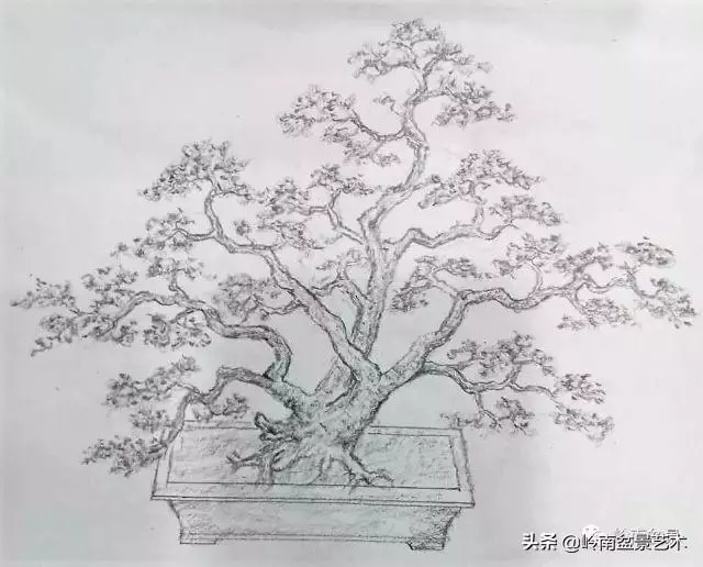掌握了這十點,您就快成半個大師了!(附創作實例)