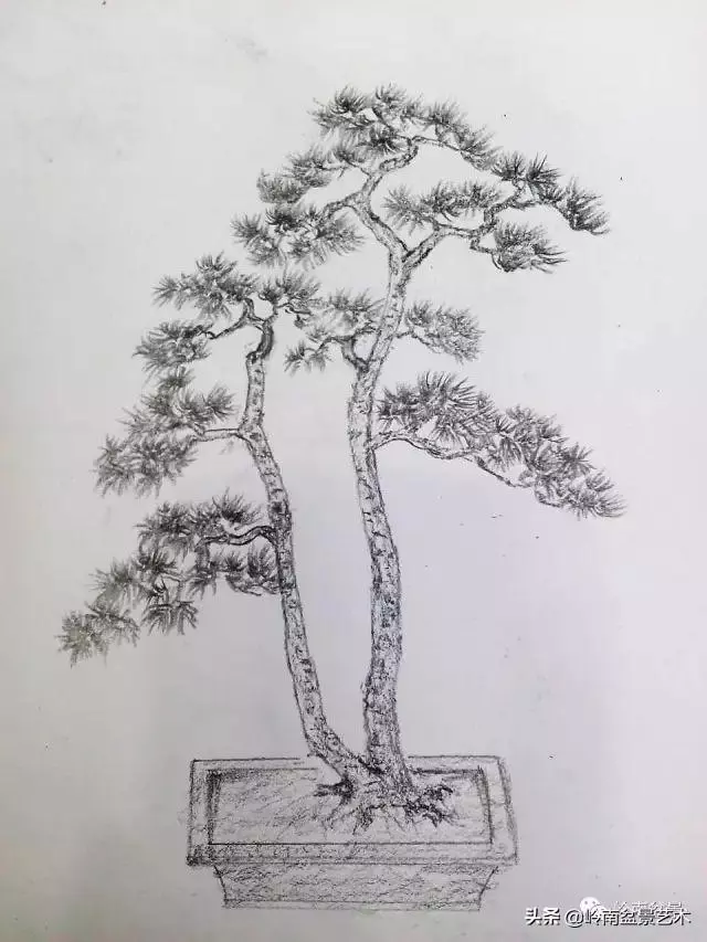 掌握了這十點,您就快成半個大師了!(附創作實例)