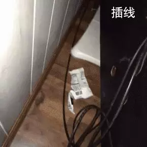 主人帶貓咪去旅行,它的步伐簡直霸氣,網友:一看就是只社會貓