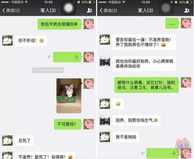 帶喵星人去打針,它的眼神中充滿怒氣,結果鏟屎官一招把它收拾了