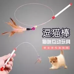 有哪些好用的養貓神器?