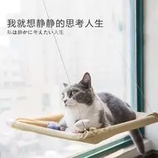 有哪些好用的養貓神器?