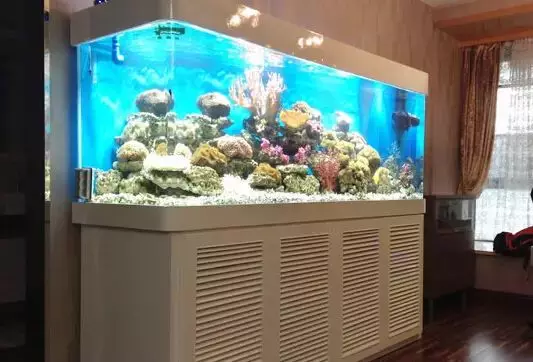 10種常見的家中布局風水,財神不進門,窮神住你家,一定要趕快改正哦