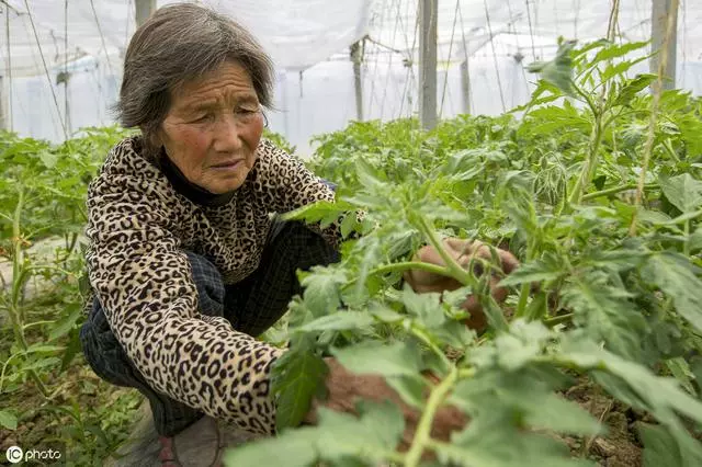 農村老話「男人無妻財無主,女人無夫身落空」,什麼意思?