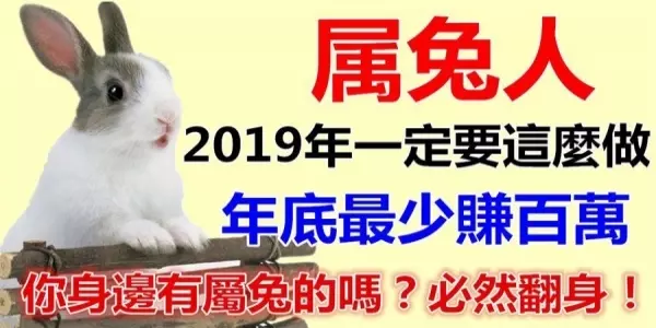 屬兔人:2019年一定要這麼做,年底最少賺百萬,誰家有屬兔的,刻不容緩,趕緊通知他